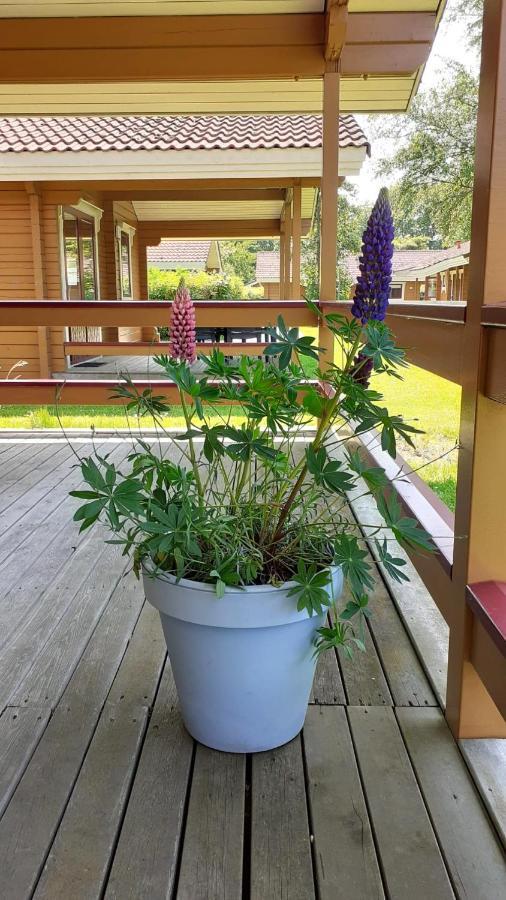Gramsbergen Lupine Lodge מראה חיצוני תמונה